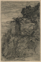 KG 18095
<br/>
Boslandschap in Zuid-Afrika
<br/>
<em>Nachenius, Jan Coenraad (1890-1987)</em>